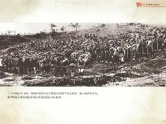 IM电竞体育平台-大阪钢巴怎么了2021